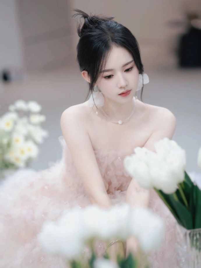 长月烬明 封面